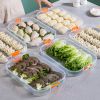 1pc Refrigerator Dumpling Storage Box; Frozen Dumplings Multi-layer; Household Large Capacity Dumpling Box Multifunctional 11.8in/8in